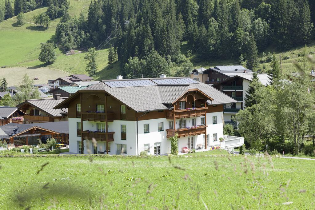Appartementhaus Elmo Viehhauser Kg Kleinarl Ngoại thất bức ảnh